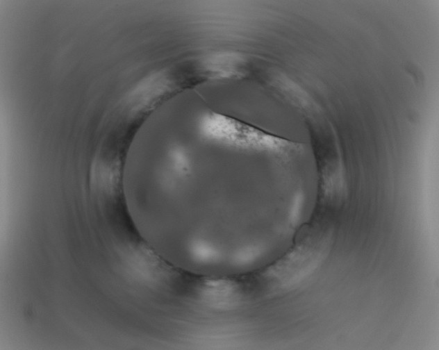 X0000113760376200910141053