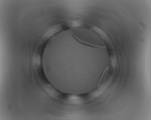 X0000113760380200910141053