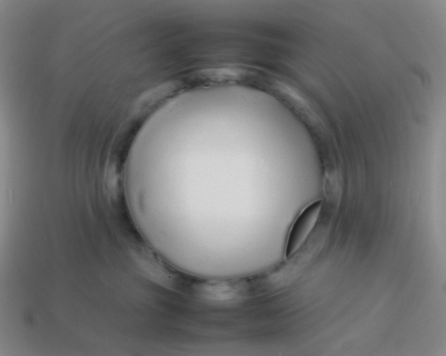 X0000113760381200910141053