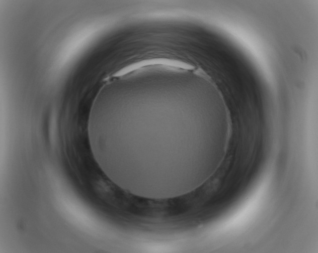 X0000113760382200910141053