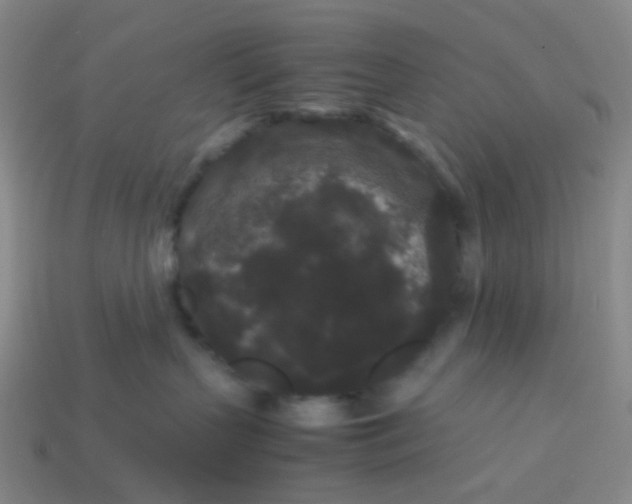 X0000113760383200910141053