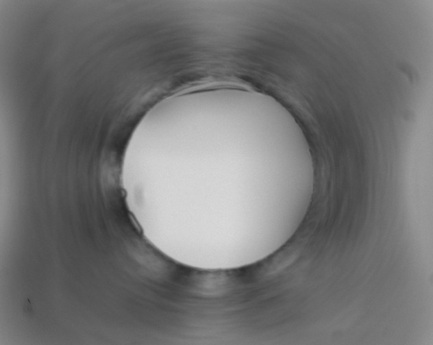 X0000113760384200910141053