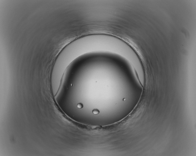 X0000113760385200910141053