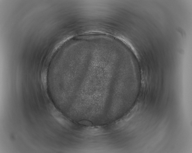 X0000113760386200910141053