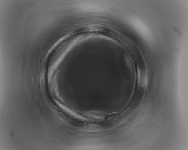 X0000113760387200910141053