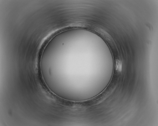 X0000113760388200910141053