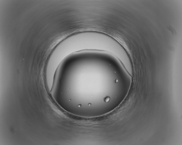 X0000113760389200910141053