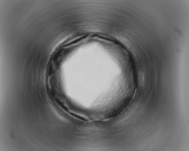 X0000113760390200910141053