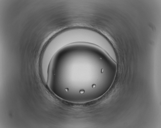 X0000113760391200910141053