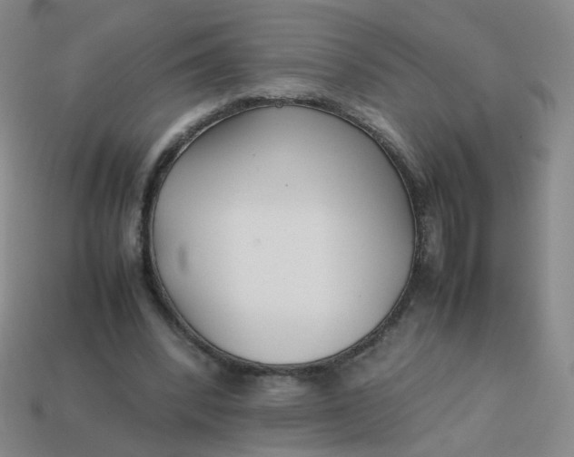 X0000113760392200910141052