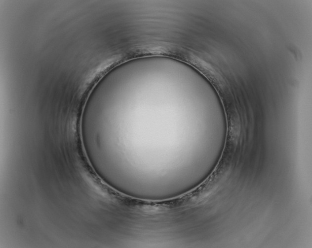 X0000113760394200910141052