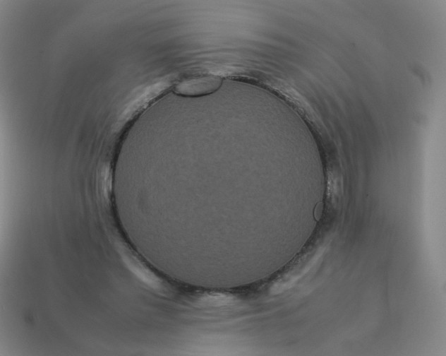 X0000113760397200910141052