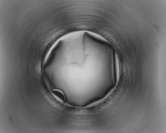 X0000113760398200910141052