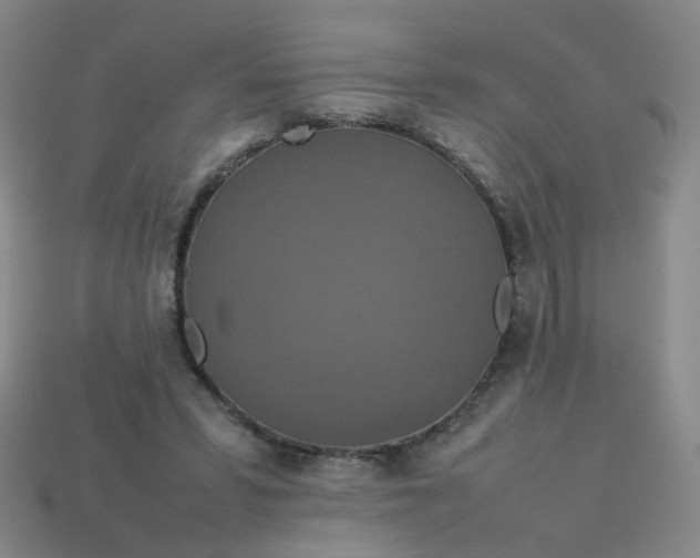 X0000113760399200910141052