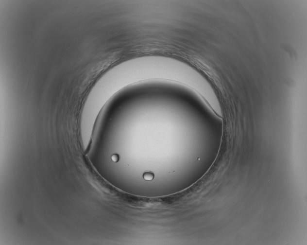 X0000113760401200910141052