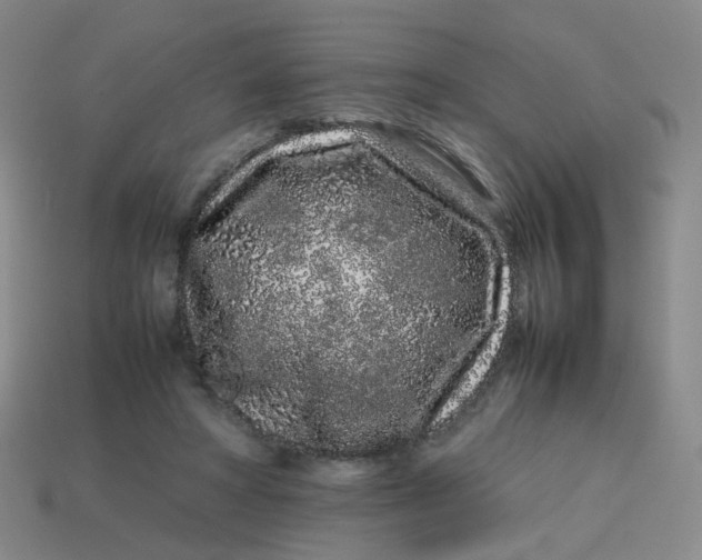 X0000113760402200910141052