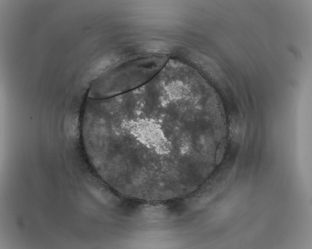 X0000113760403200910141052