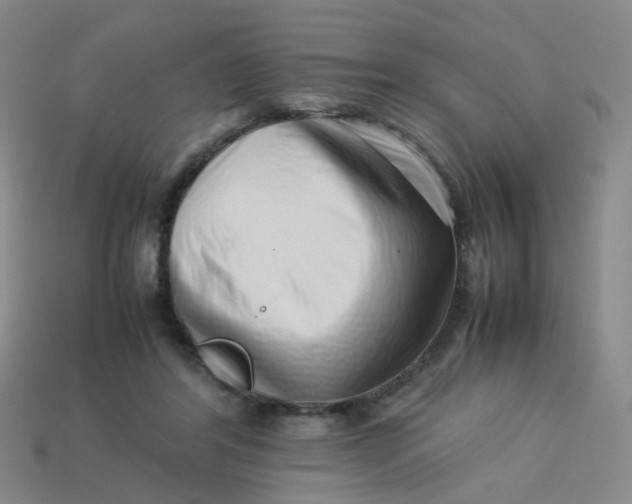 X0000113760404200910141052