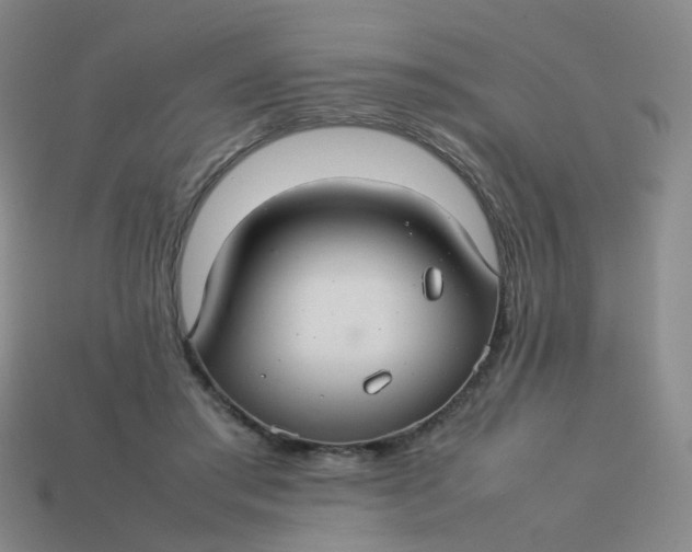 X0000113760405200910141052