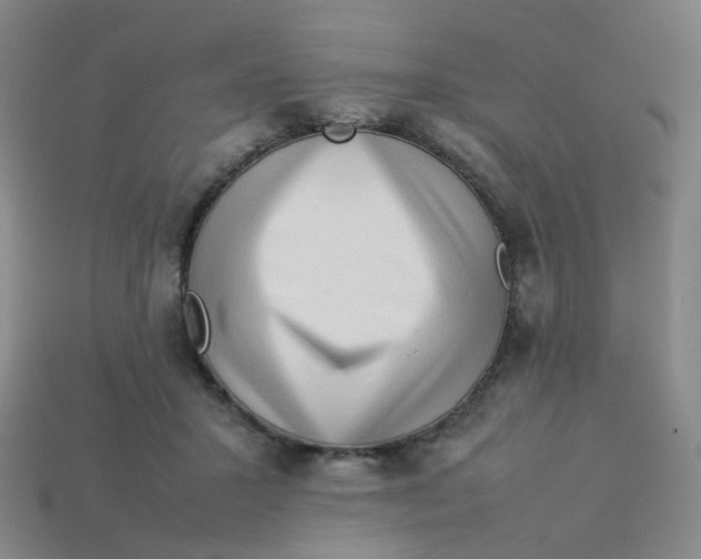 X0000113760407200910141052