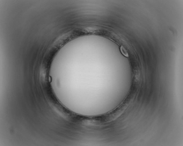 X0000113760408200910141052