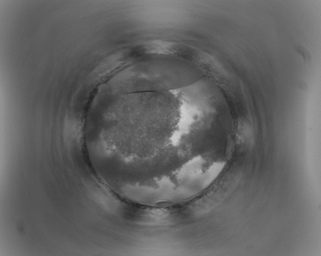 X0000113760409200910141052