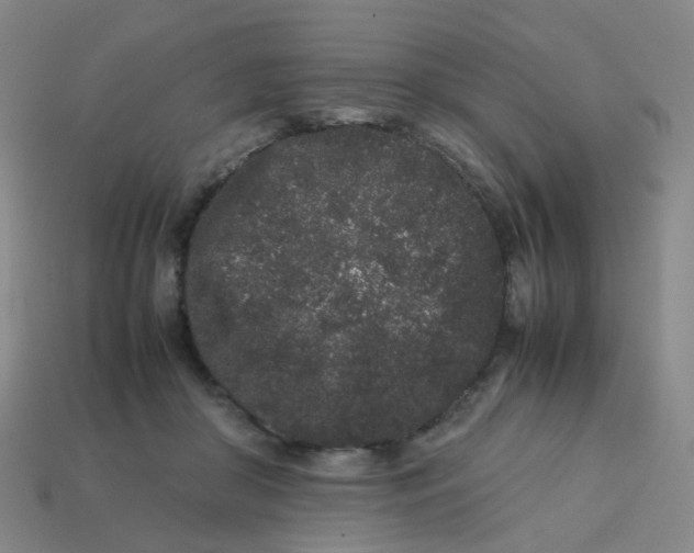 X0000113760410200910141052