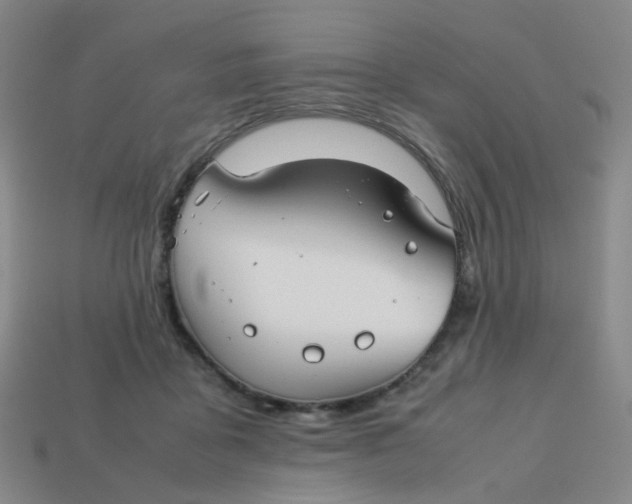 X0000113760411200910141052