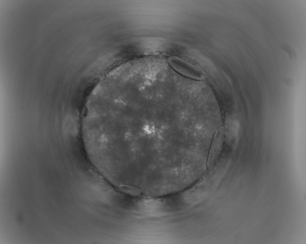 X0000113760413200910141052