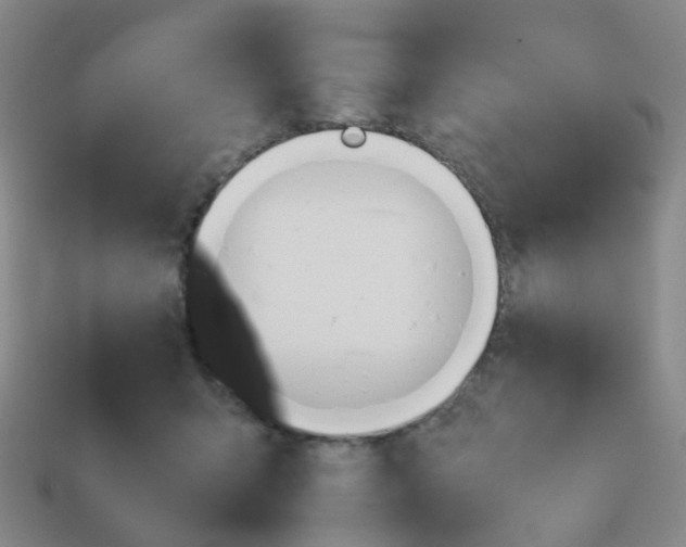 X0000113760415200910141052