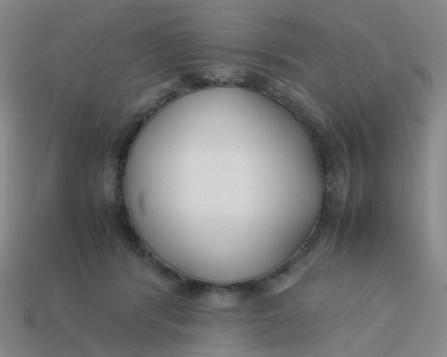 X0000113760416200910141052