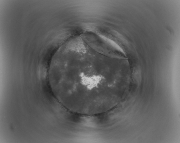 X0000113760417200910141052