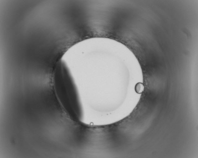 X0000113760419200910141052