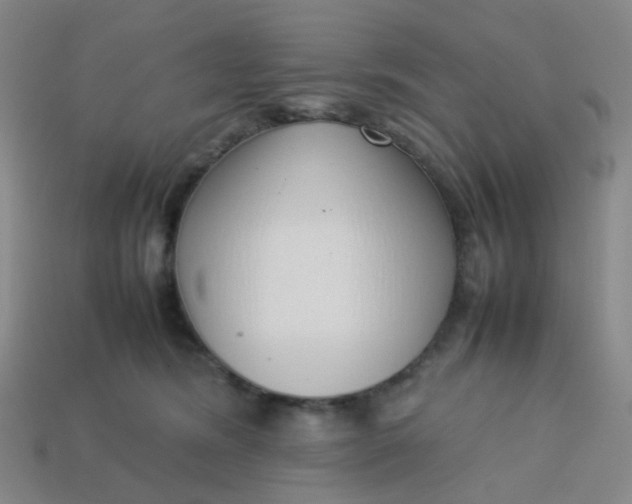 X0000113760420200910141052