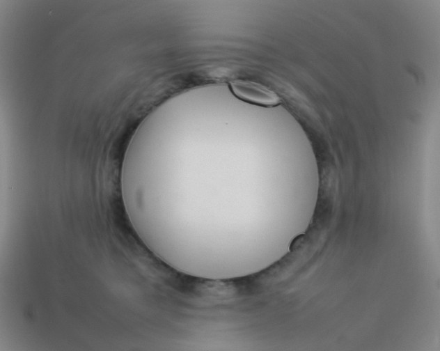 X0000113760421200910141052