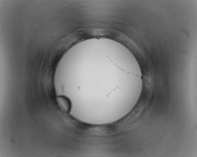 X0000113760422200910141052