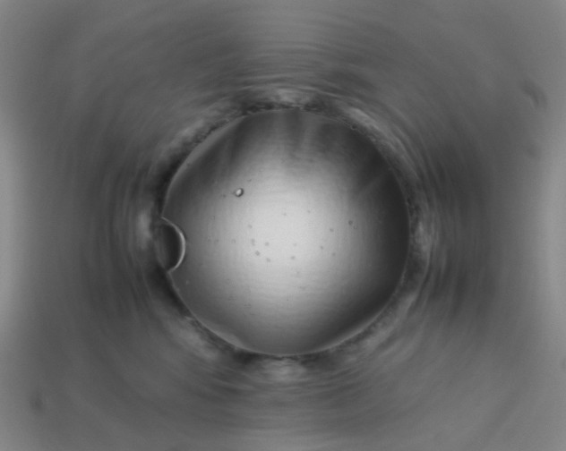 X0000113760424200910141052