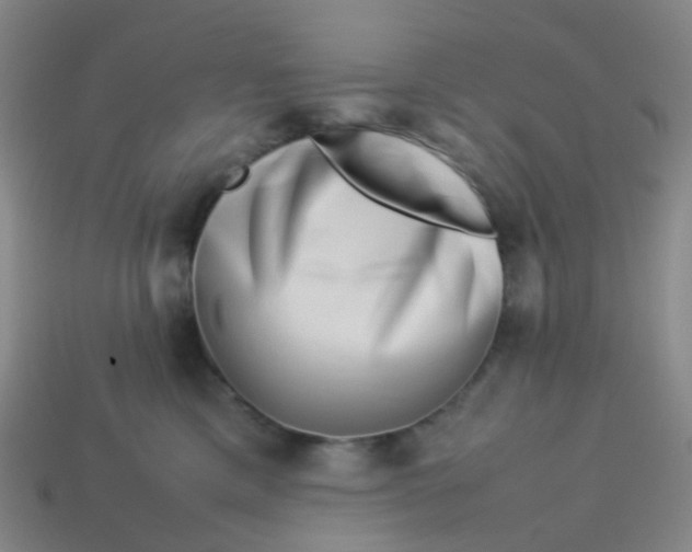 X0000113760425200910141052