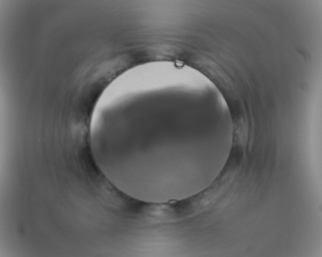 X0000113760427200910141052