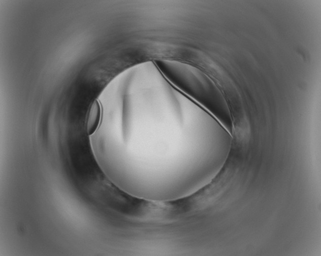 X0000113760429200910141052