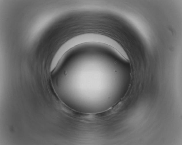 X0000113760431200910141052