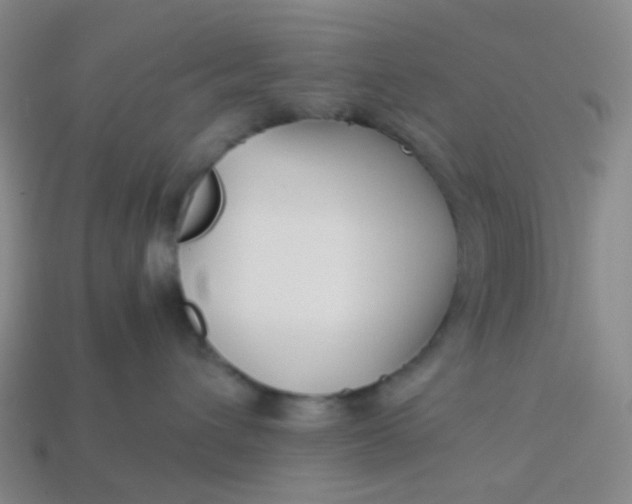 X0000113760432200910141052