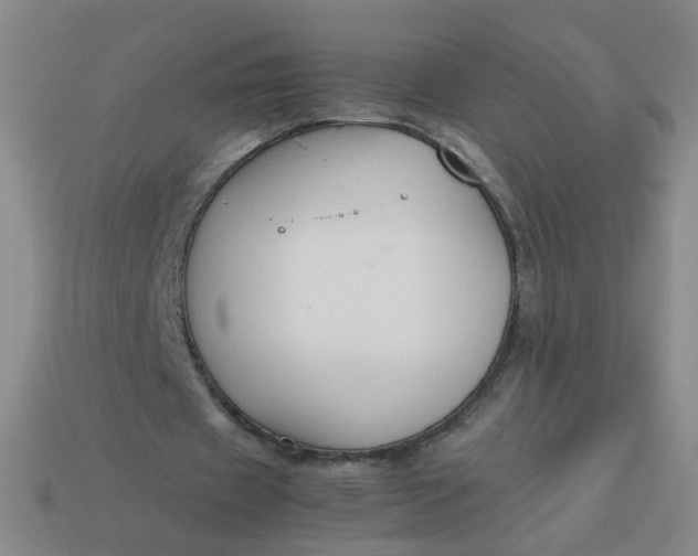 X0000113760433200910141051