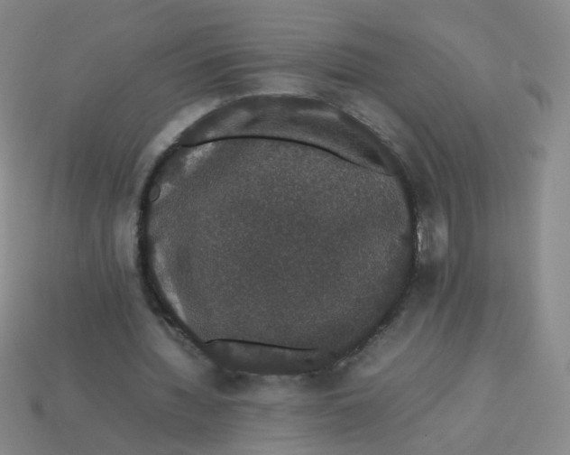 X0000113760436200910141051