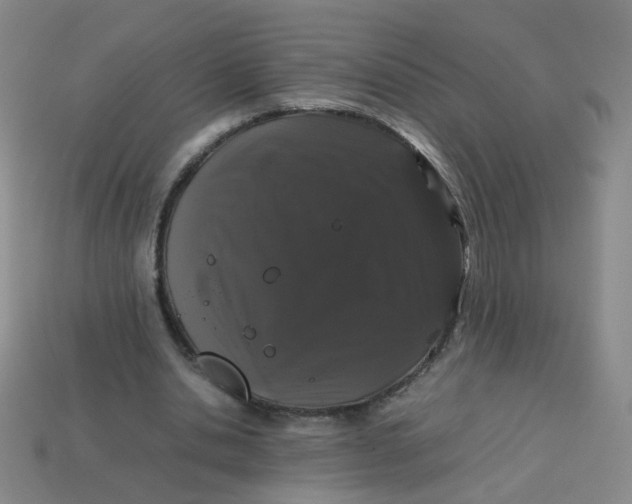 X0000113760438200910141051