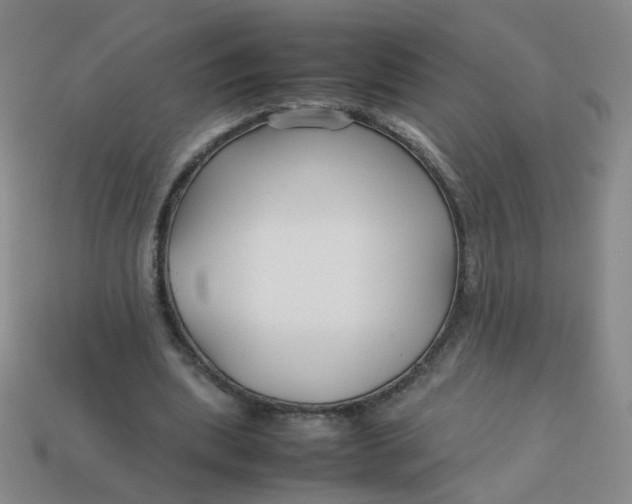 X0000113760439200910141051