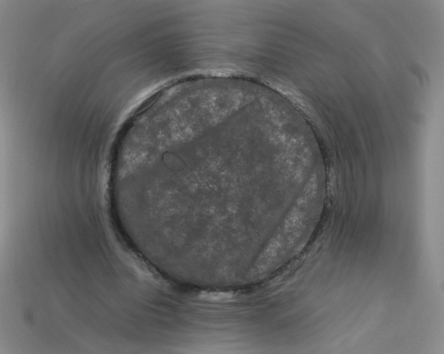 X0000113760440200910141051