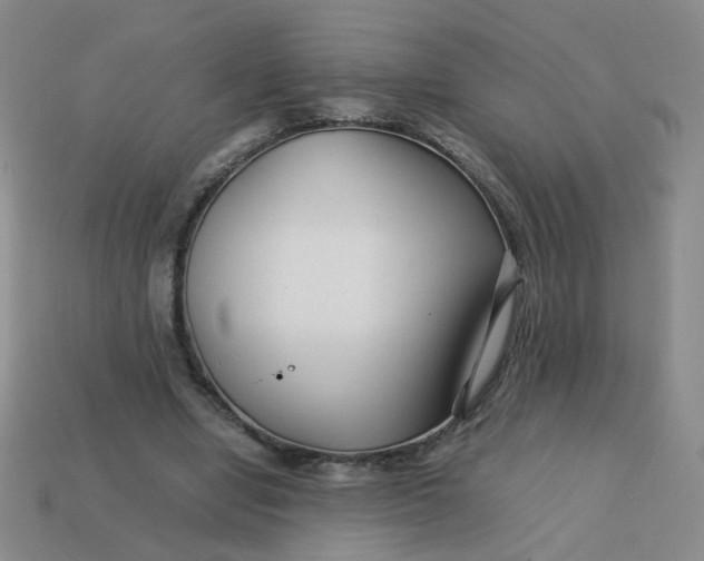 X0000113760442200910141051