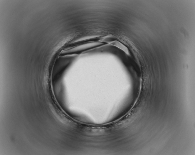 X0000113760443200910141051