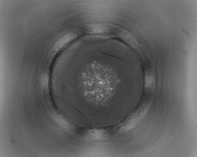 X0000113760444200910141051